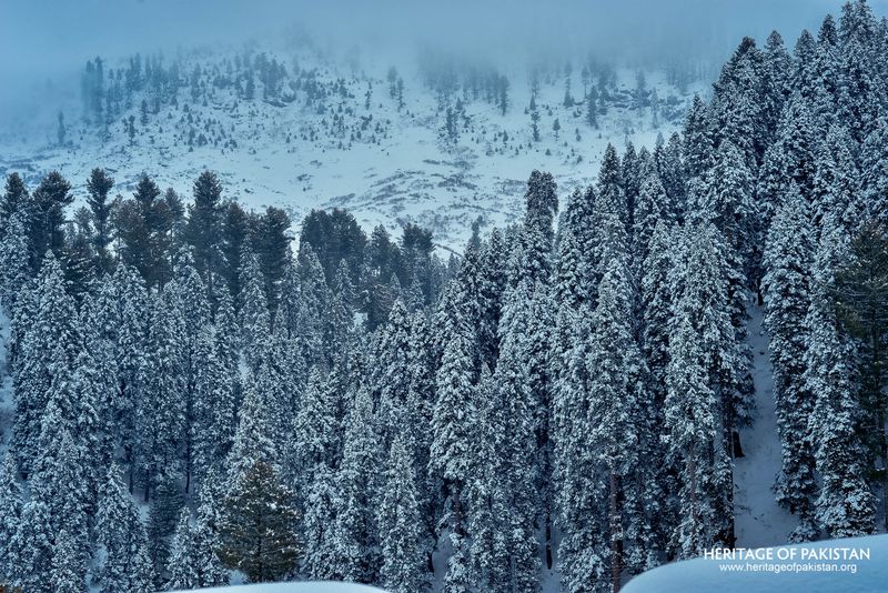 Malam Jabba
